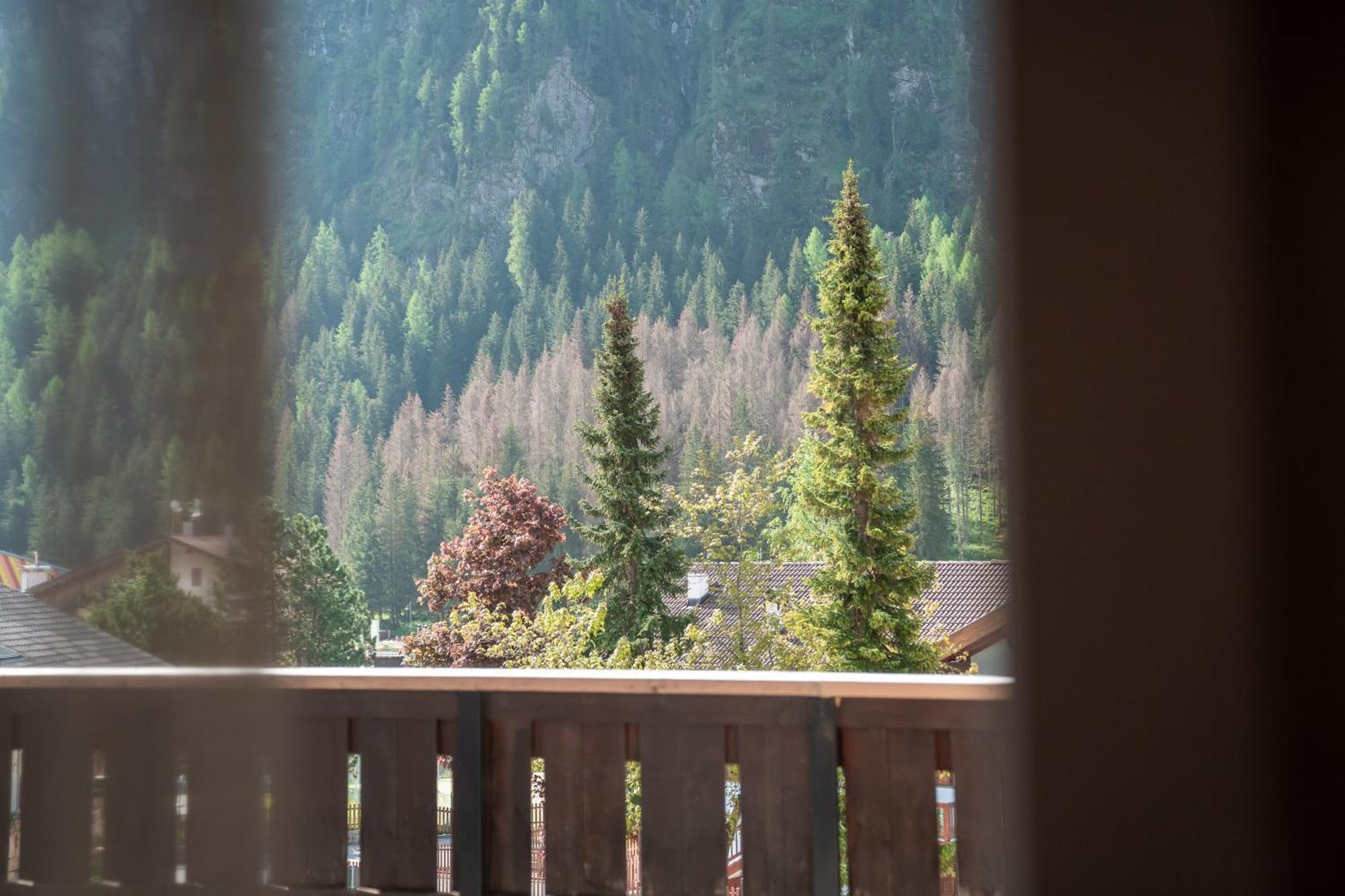 Hotel Grohmann Campitello di Fassa Exterior foto